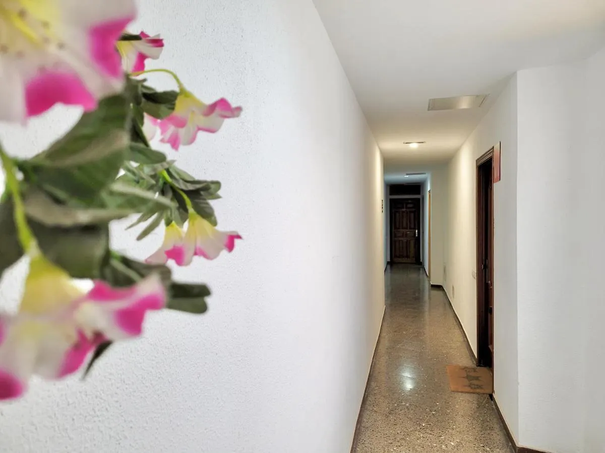 Apartamento Plaza Del Charco Puerto de la Cruz  0*, Puerto de la Cruz (Tenerife)